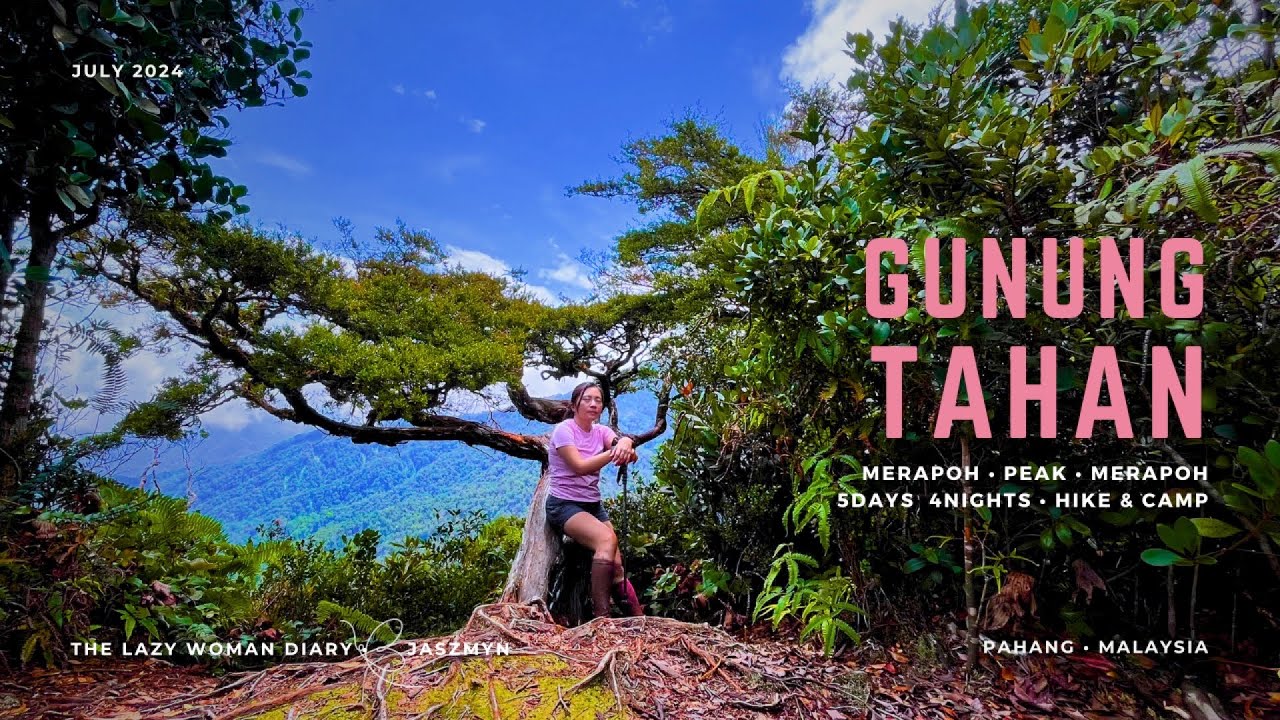 G1 • Гора Тахан ⛰️5 дней 4 ночи 🦖 Путешествие по тропе Мерапох #тропическийлес #поход #кемпинг