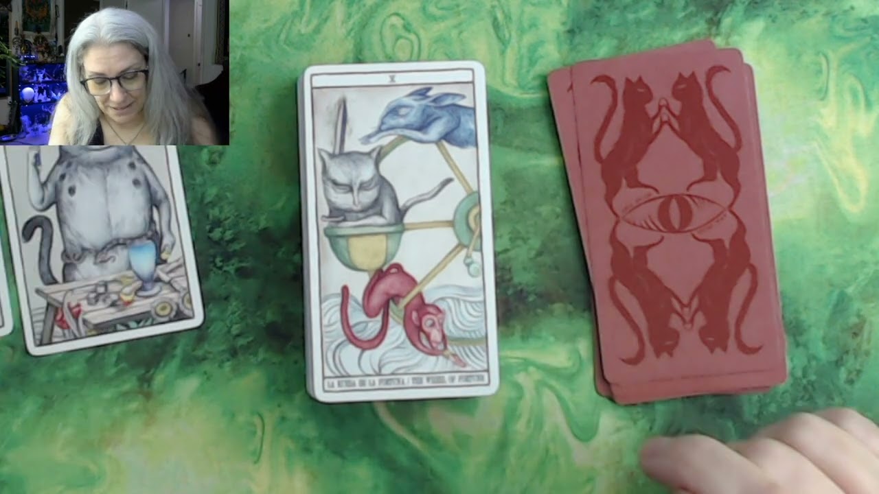Tarot Cats Unboxing and Test Drive