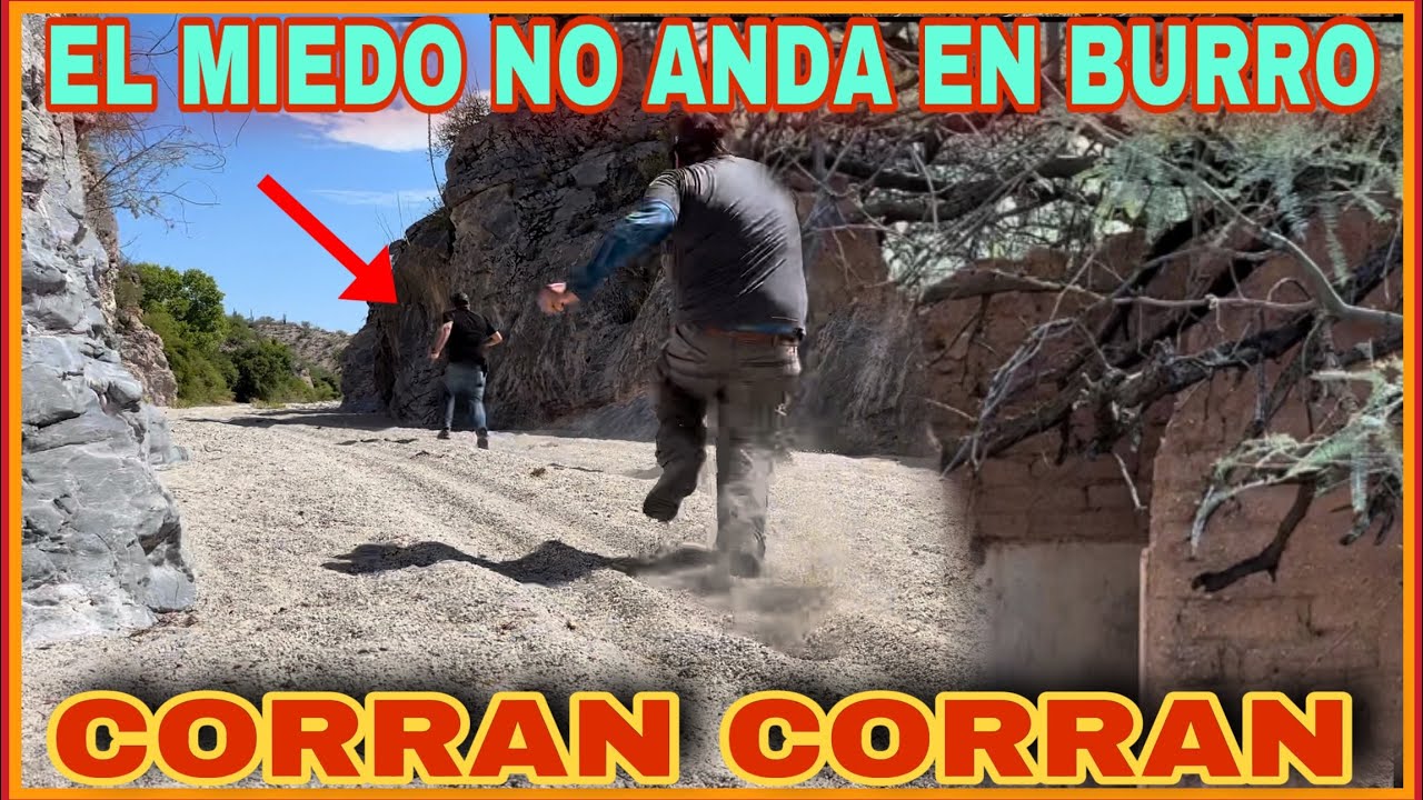 AVENTURA 407 CÓRRANLE PORQUÉ LOS ALCANZAN Y PUEDE TERMINAR MAL