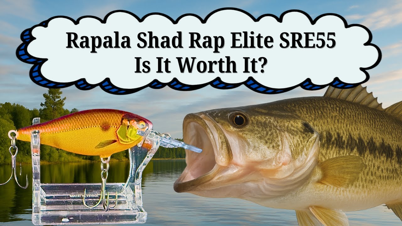 Rapala Shad Rap Elite SRE55 - Is It Worth It?