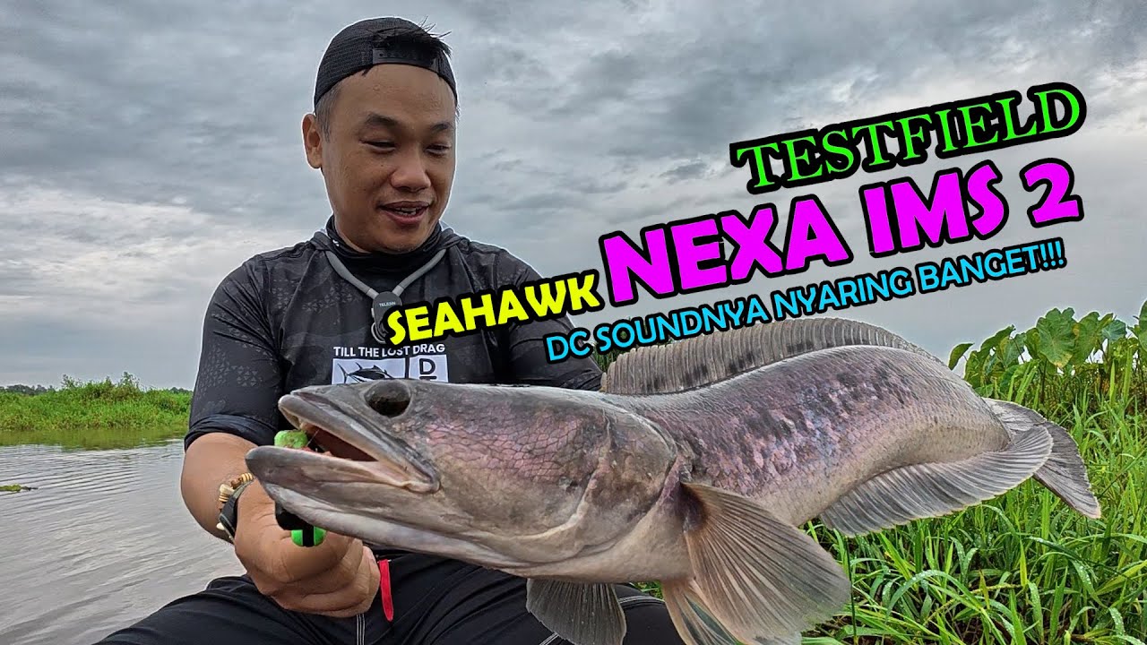 SUARA DC NYA SUPER KUAT!!! TESTFIELD SEAHAWK NEXA IMS