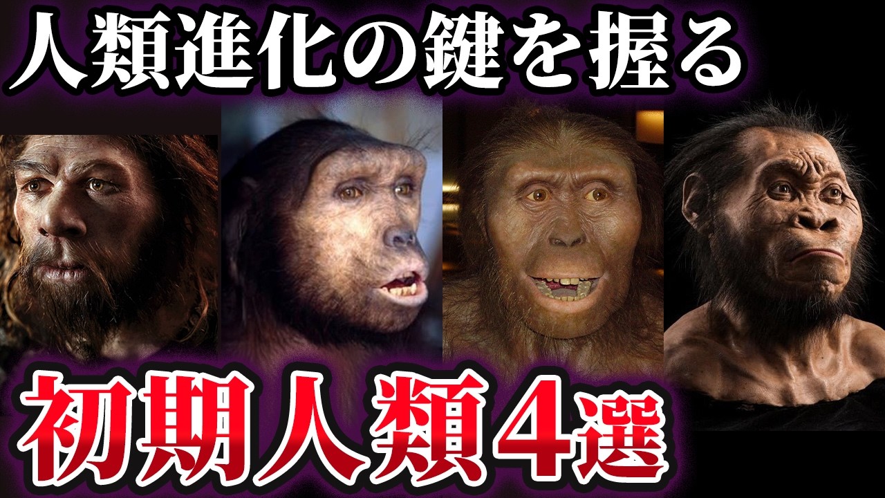 【ゆっくり解説】人類進化の鍵を握る&hellip;謎多き初期人類4選