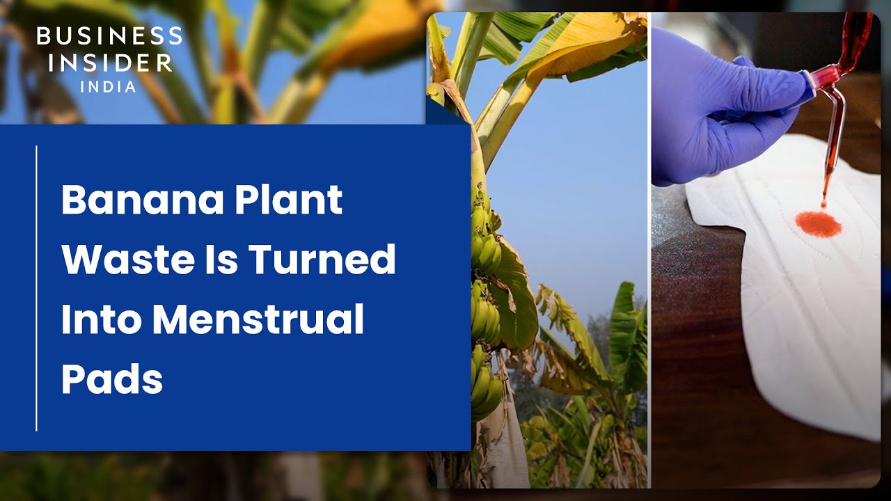 How Banana Plant Waste Is Turned Into Menstrual Pads | World Wide Waste