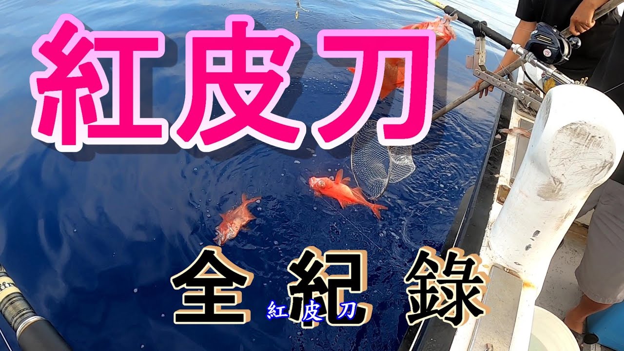 # 船釣深深海紅皮刀的基本操作技巧