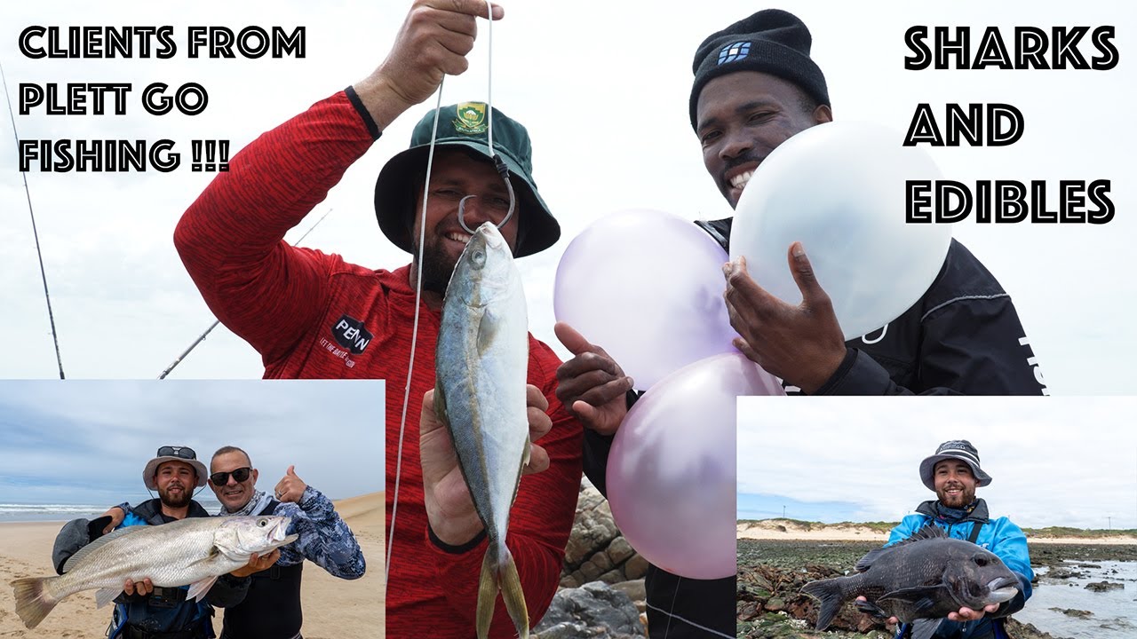 Scratching some edibles and using big baits  for sharks from shore! // Duvan Fishing Charters