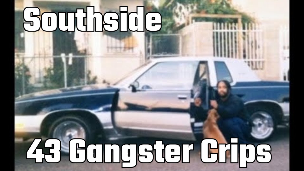 The Southside 43 Gangster Crips of Los Angeles Part 2