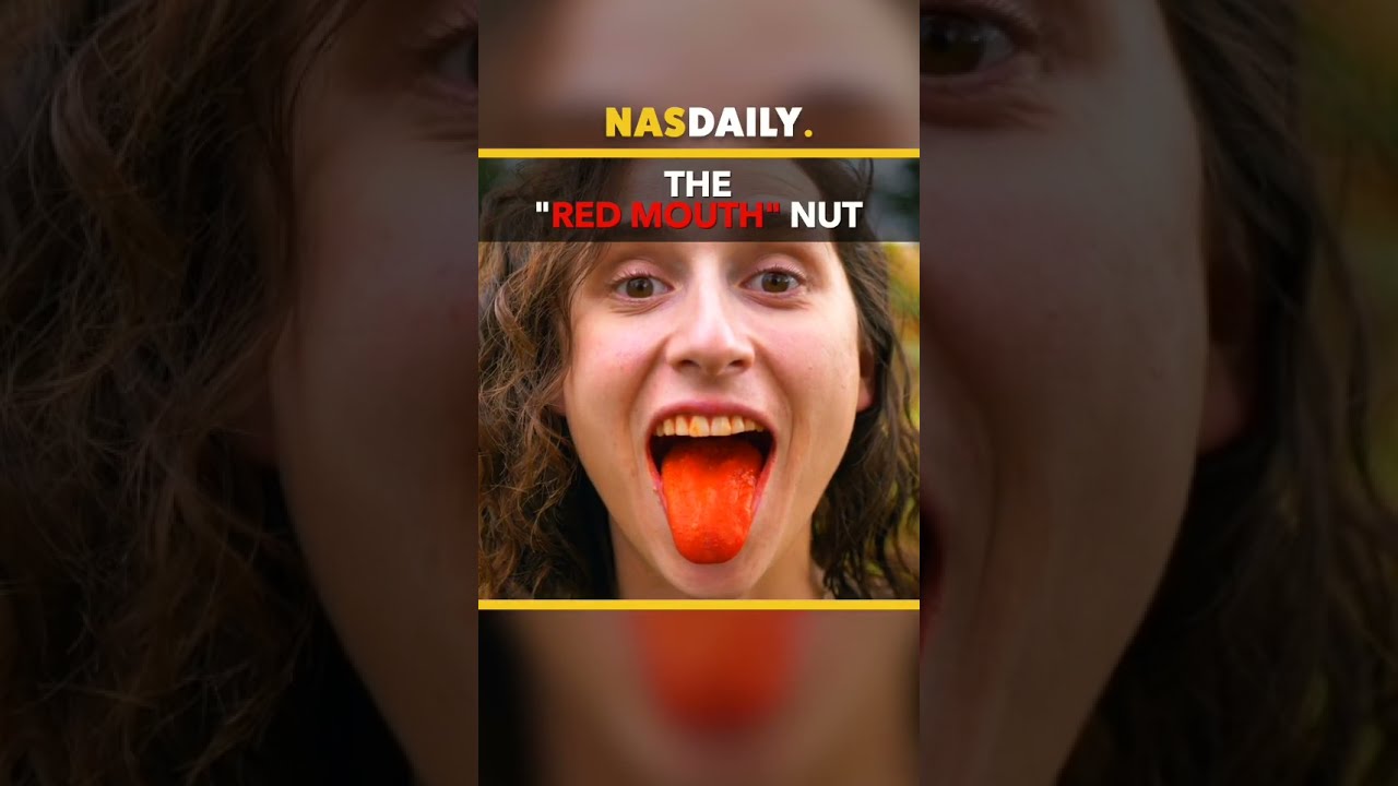 The &ldquo;Red Mouth&rdquo; Nut #nasdaily #nasmeanspeople #knowledge #travel #1minute #people