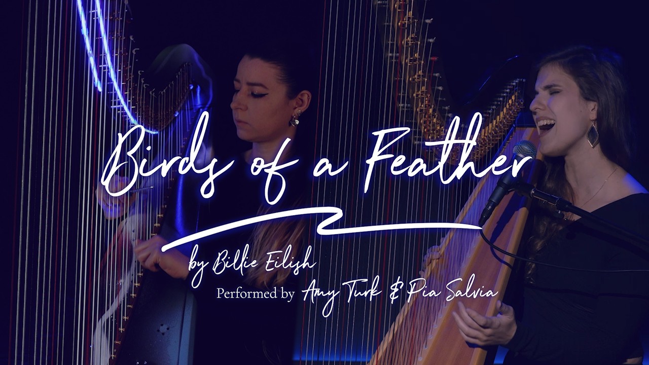 Birds of a Feather - Billie Eilish // Amy Turk + @PiaSalvia