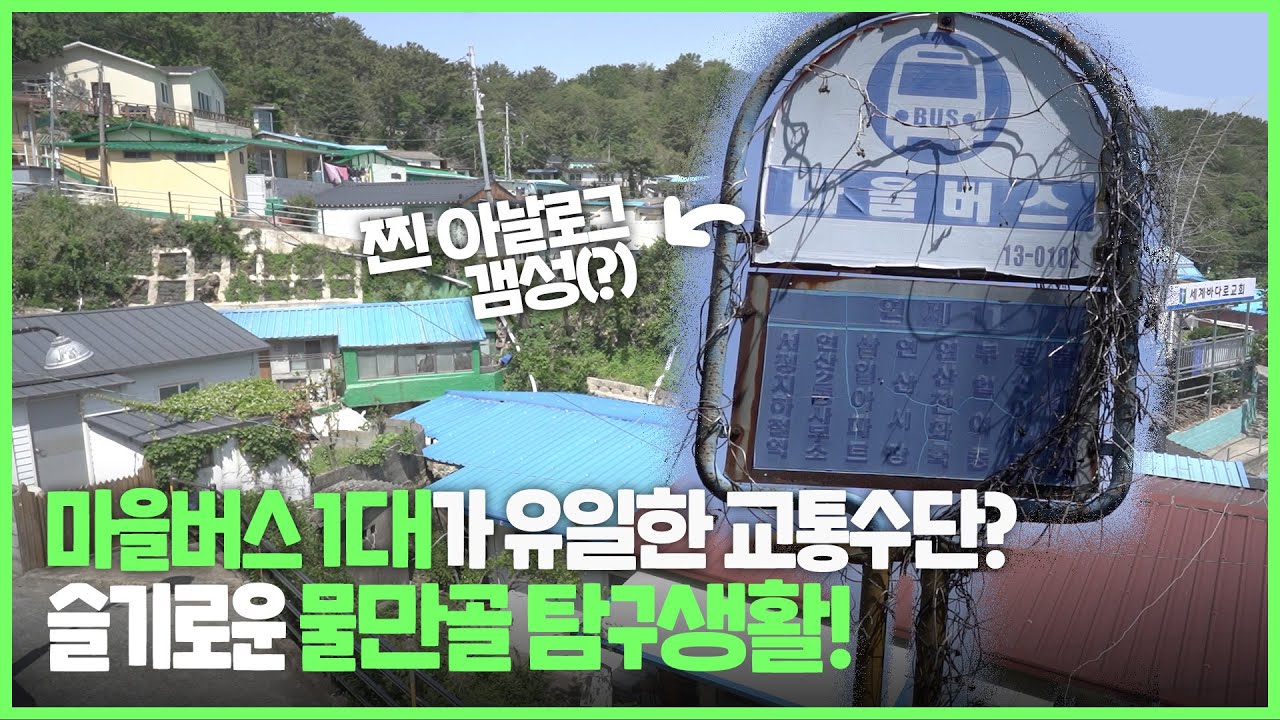 부산 도심 한복판에 고즈넉한 마을이?!...슬기로운 '물만골 탐구생활'