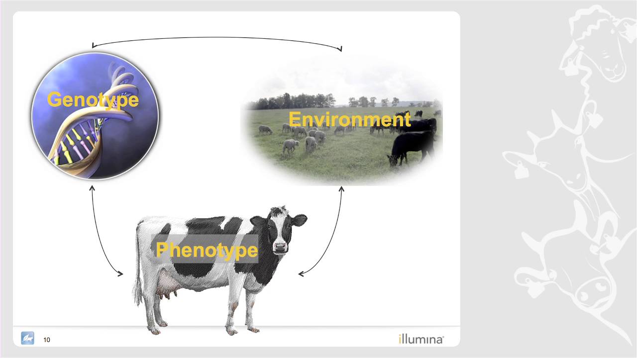 Genomics: A Paradigm Shift in Animal Breeding