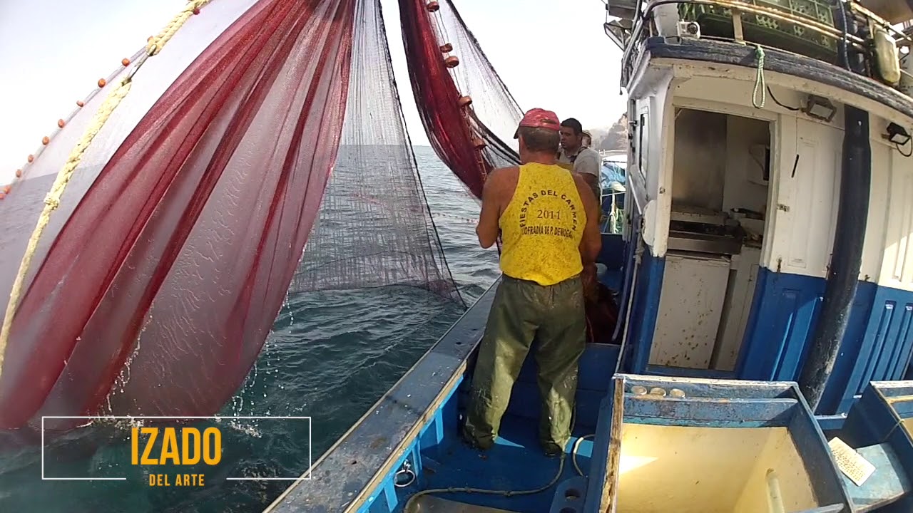 Pesca profesional con arte de cerco