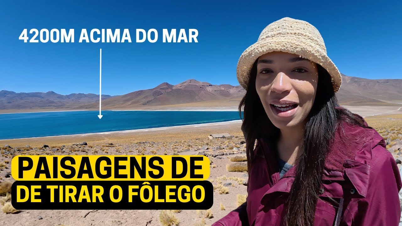 O DESERTO MAIS SECO DO MUNDO VAI TE SURPREENDER - Atacama - Chile