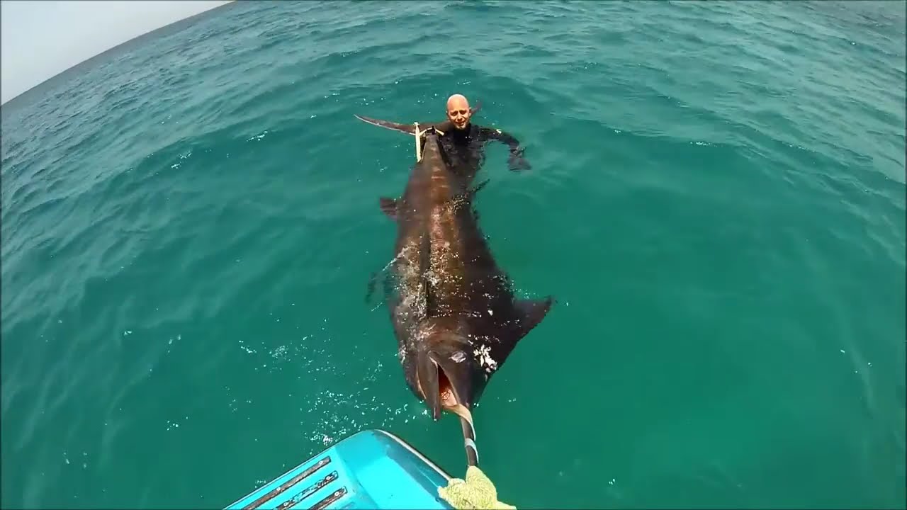 Spearfishing Cabo Verde - Blue water hunting Marlin, wahoo and amberjack