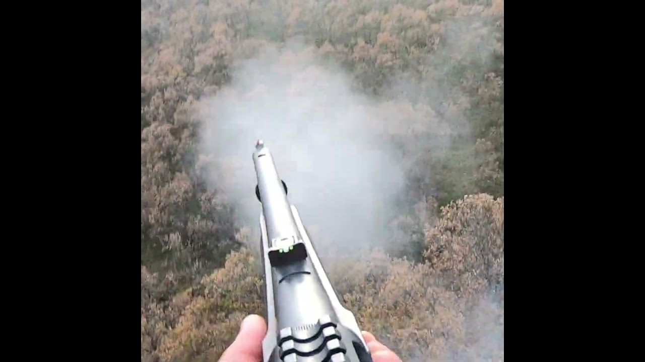 Yaban domuz avları görüntüleri-12 