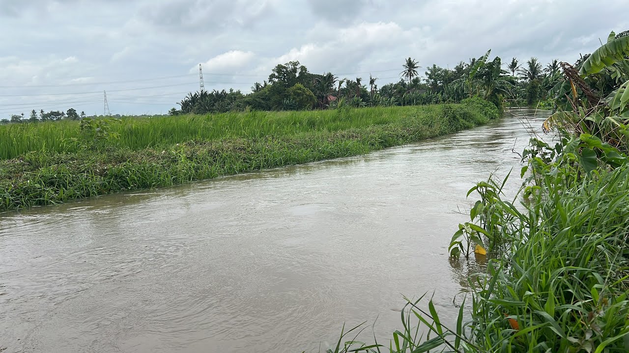 Main di sawah dg sungai banjiirrr