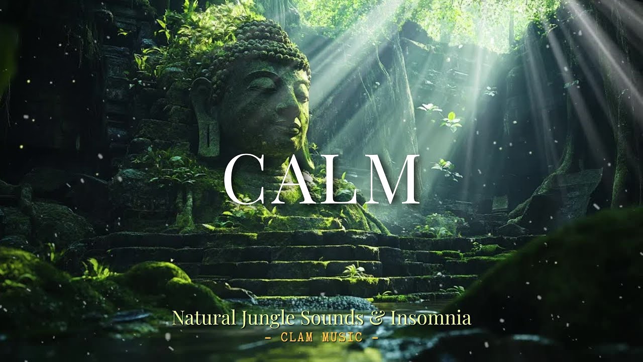 Calm Music | Bio-Harmonic Frequencies🌿Nature-Synced Ambient Music for Deep Calm & Restoration