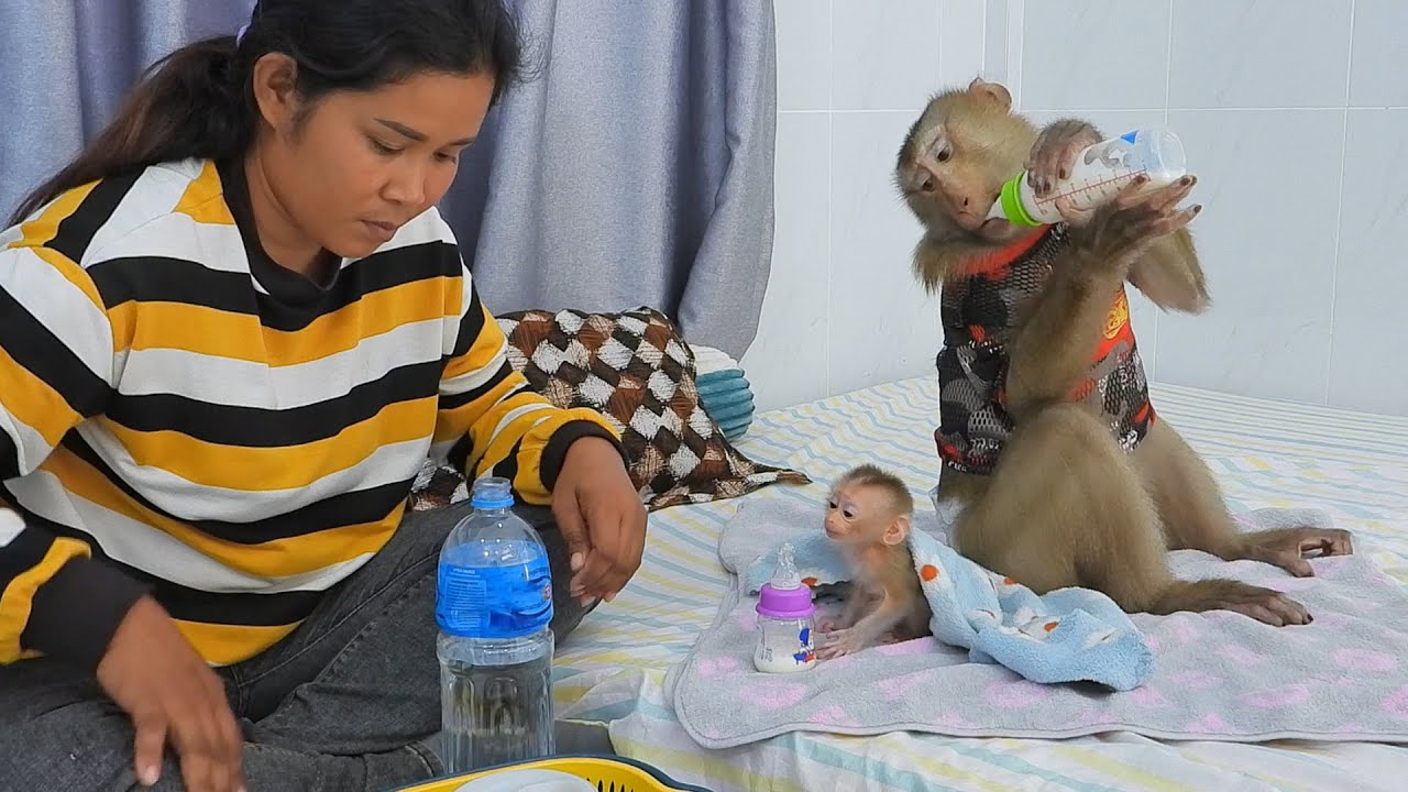 Daddy Kako And Daughter Valen Enjoying Milk Together