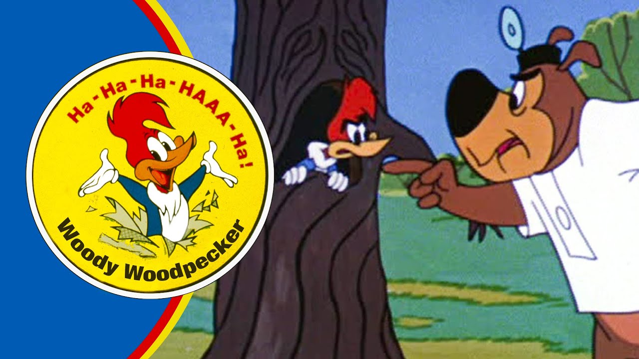This Tree is Off-Limits! | 2.5 Hours of Classic Episodes of Woody Woodpecker