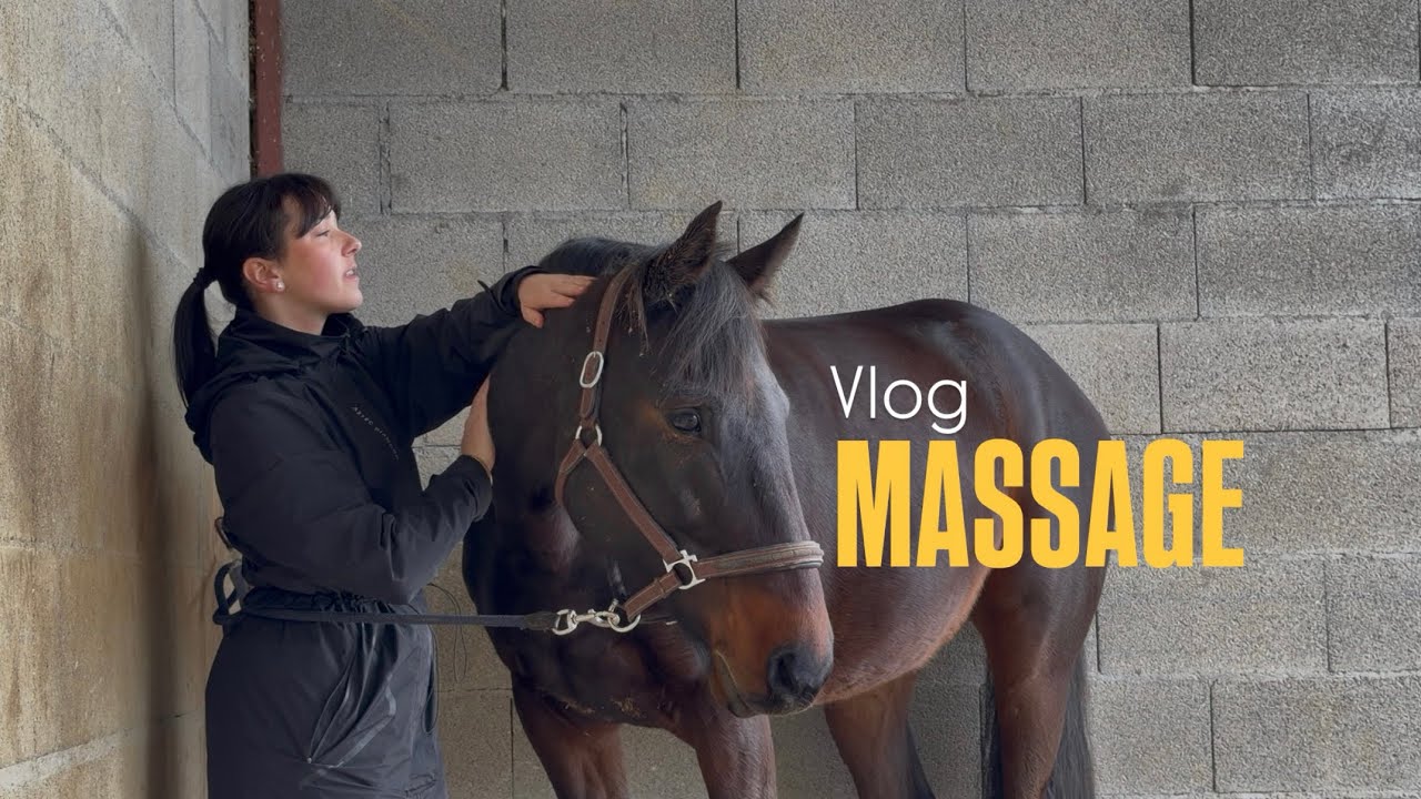 VLOG MASSAGE 