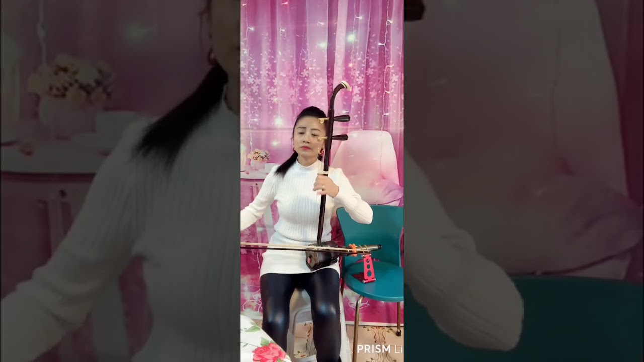 葬花吟🌺雯雯二胡（感恩Simon哥大利是点歌）🙏🙏😘🤗