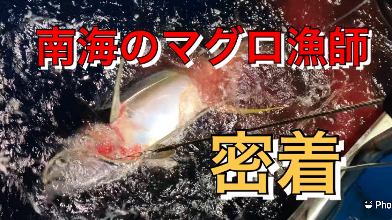 マグロ釣り　沖縄、久米島近海本流のキハダマグロ漁に密着