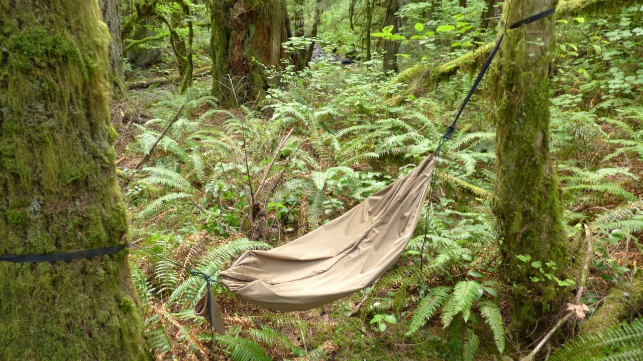 Hammock Chair