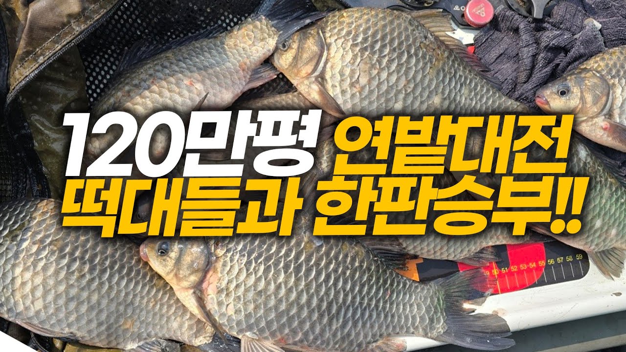 15년만에 찾은  터 쎈곳!!