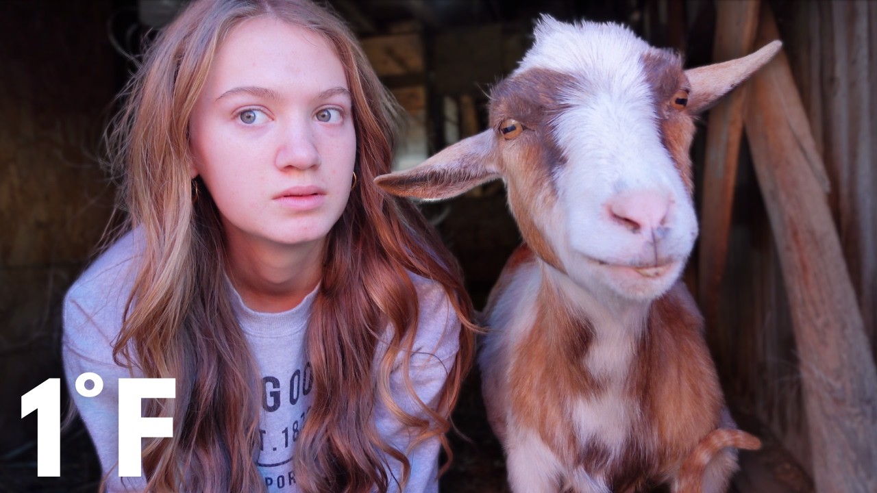 Surviving Winter on a Farm | Teen Farming