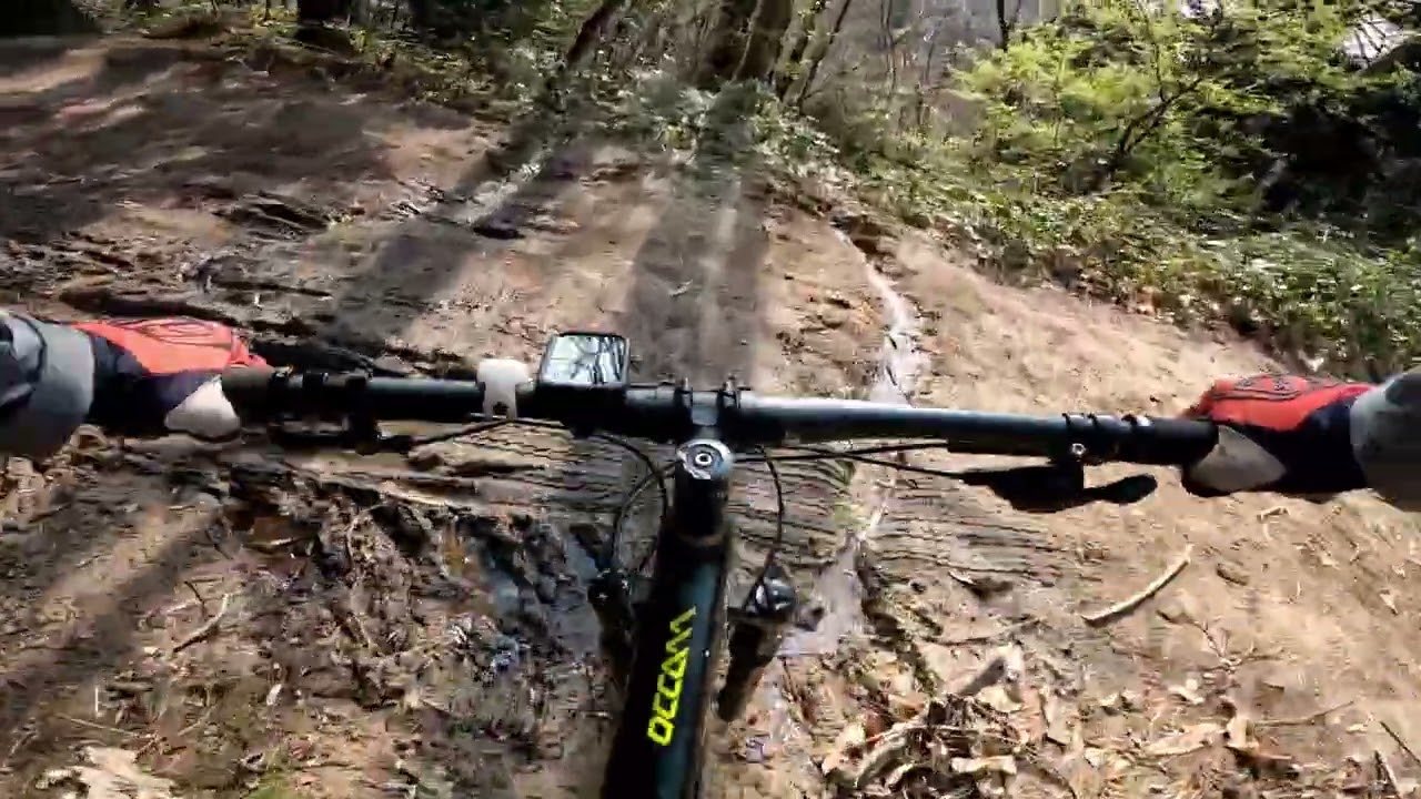 Freeride-Frustone, Pineta loiano(BO)