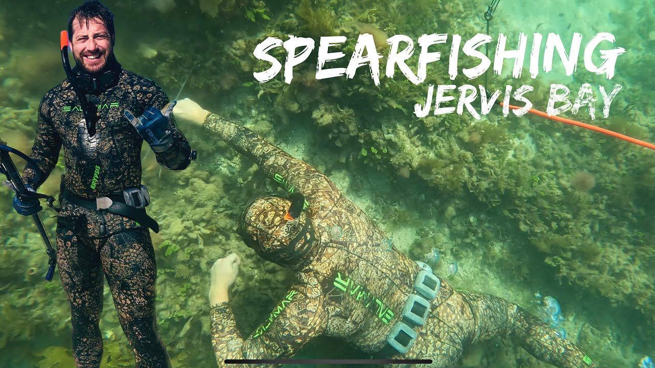Spearfishing Jervis Bay - and seeing a Great White shark plus plenty more