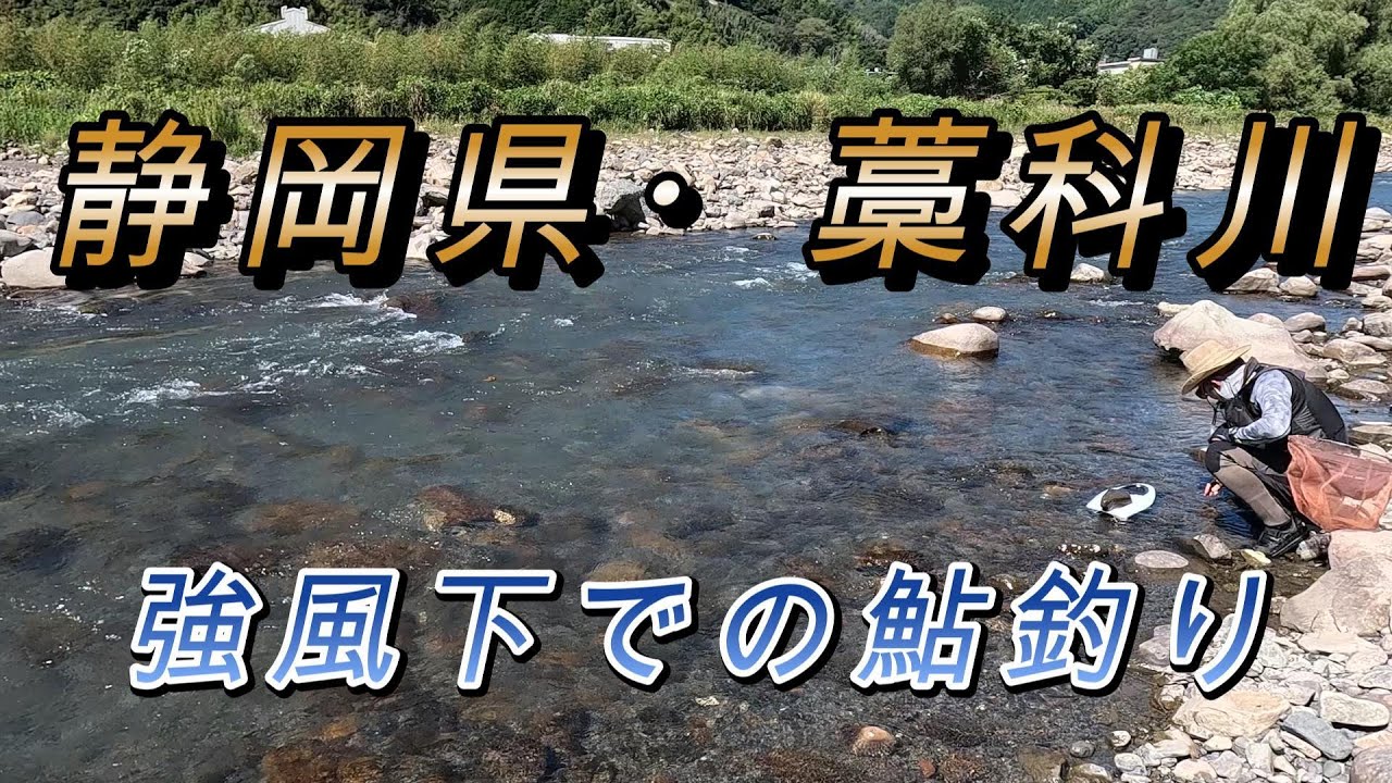 藁科川(わらしながわ、安倍川の支流）での鮎釣り～強風にもめげずに竿を出す！！