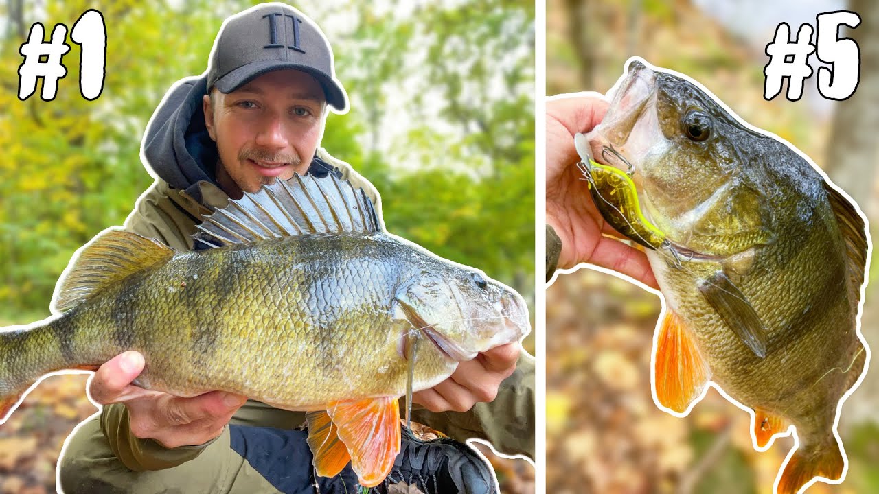 5 WSKAZ&Oacute;WEK, KT&Oacute;RE POPRAWIĄ TWOJĄ GRĘ Z OKONIEM | Team Galant