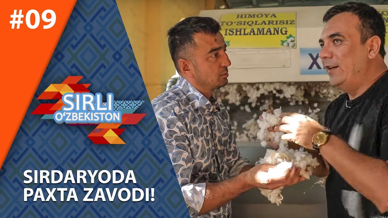 Sirli O'zbekiston 9-son Sirdaryoda paxta zavodi! (09.11.2019)