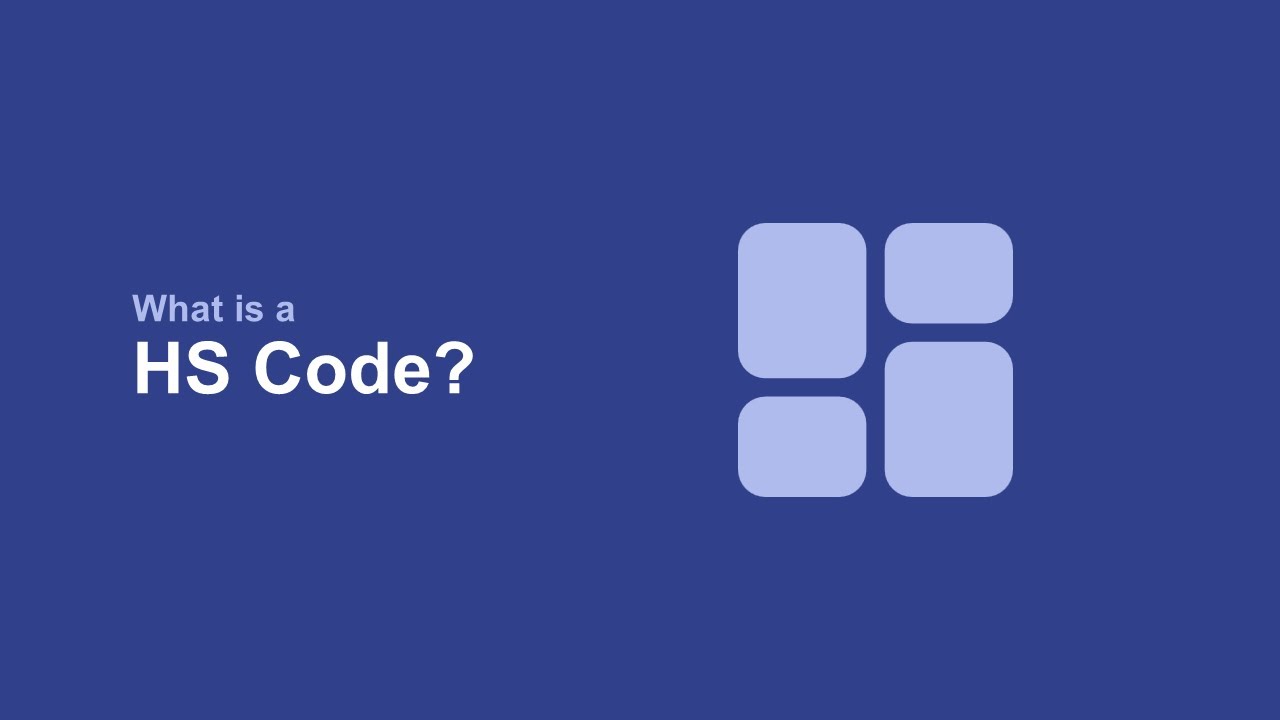 What is a HS Code?