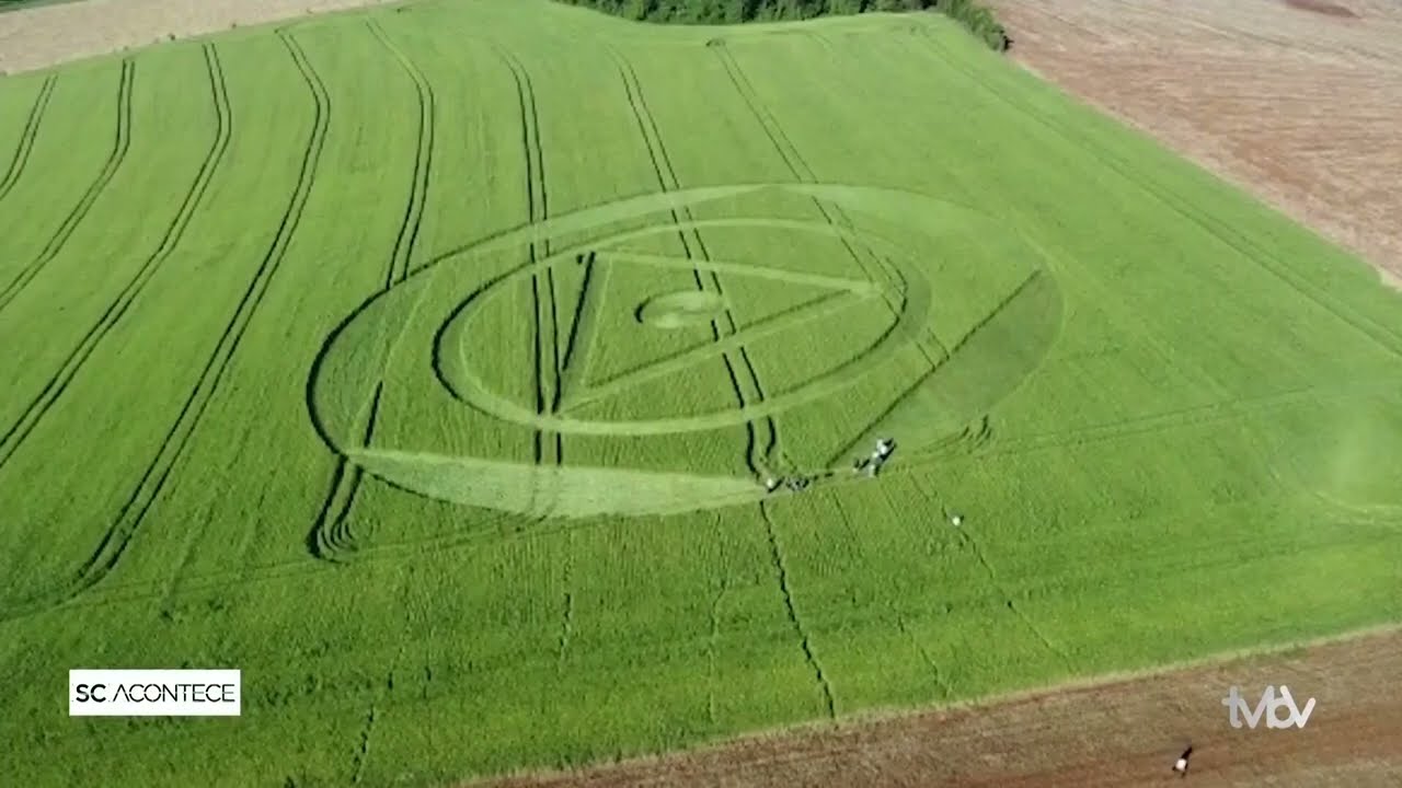 Agroglifos surgem em Ipuaçu, no Oeste de SC