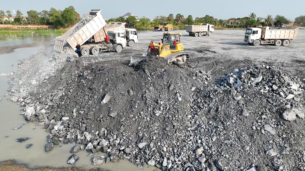 Incridible!! SHANTUI Bulldozer+Wheel Loader Smart Working With Dump Trucks Unloading Stone In Mud