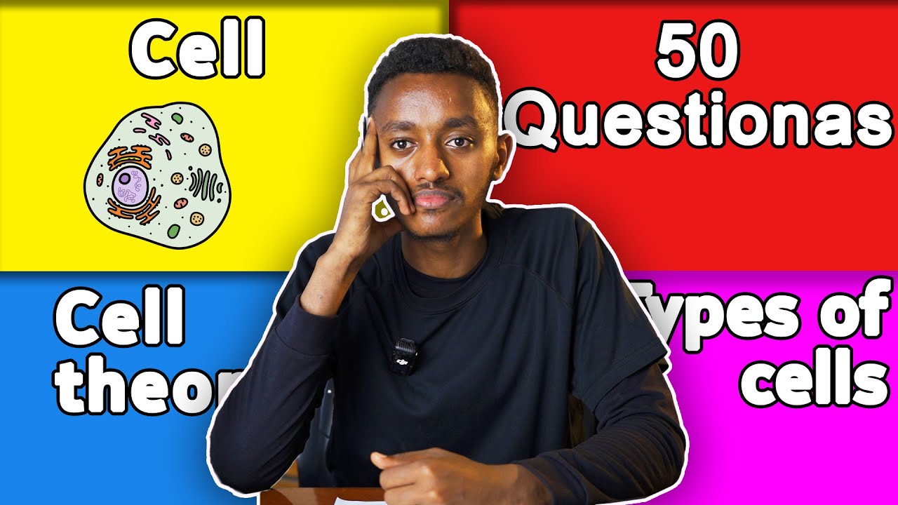 Grade 9 Biology Unit 3: Cells / What is a cell? / Cell theory / Cell structure