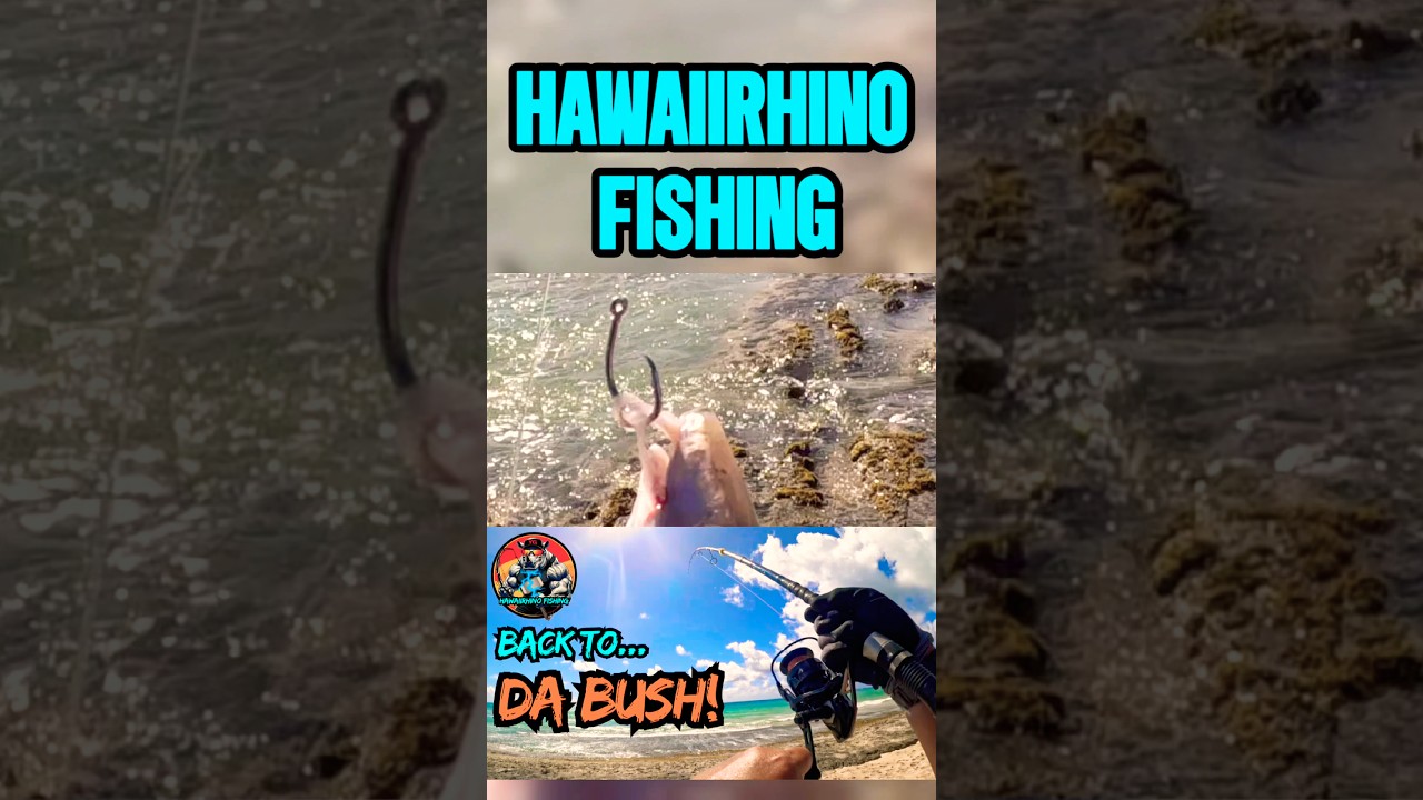 Набор крючков OBE LUGWORM O&rsquo;io! 🪱🎣🙌🏾 #onlinebaitexpress #hawaiirhinofishing #baittips