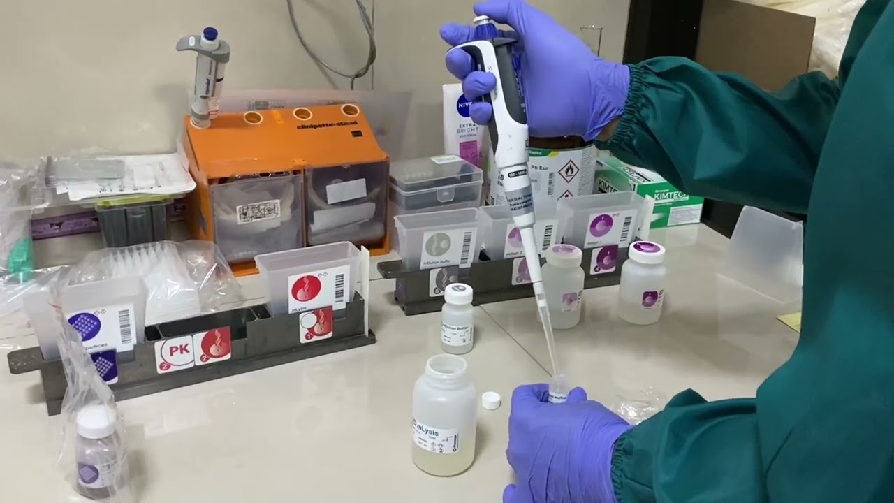 Pemeriksaan PCR viral load