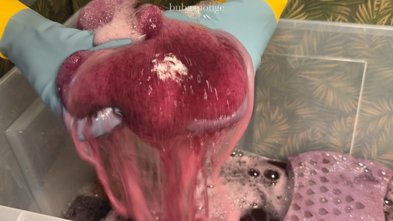 Most Addictive ASMR Sponge Squeezes