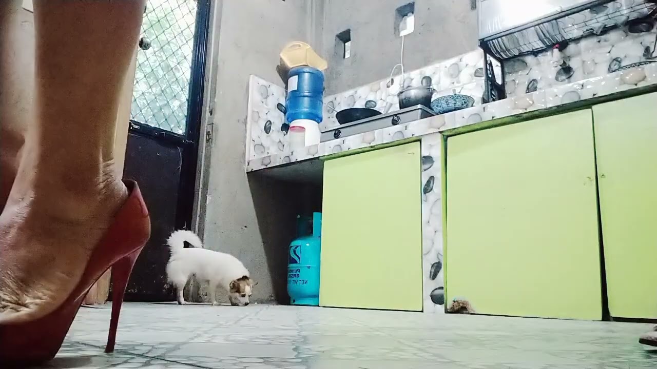 #myusualroutineinthemorning