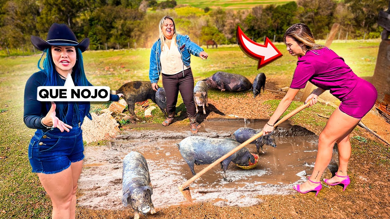 ESSA É A VERDADEIRA ROTINA EM UMA FAZENDA as boiadeiras vai aguentar