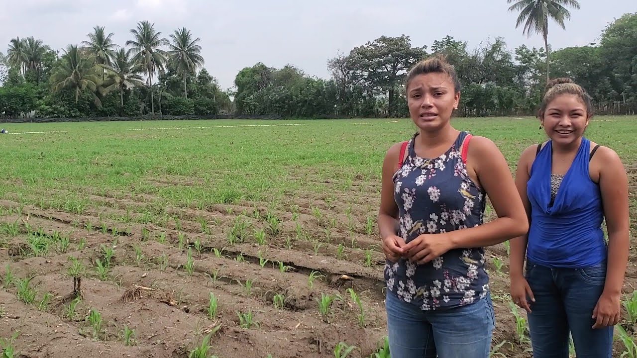 Que Bonito Terreno Es El Que Venden