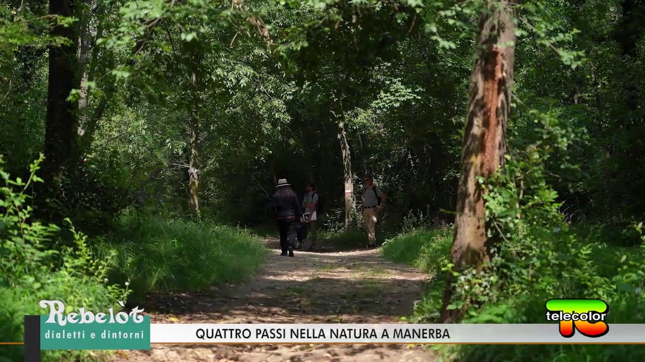 Rebelot: quattro passi nella natura a Manerba