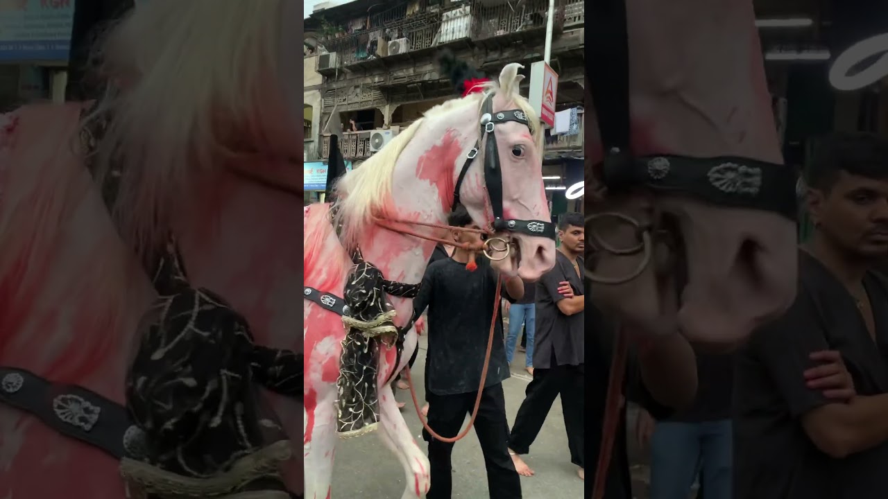 Zuljanah Shab e Ashura 2025 -  Honda Corner 2025 | #muharram 1447 | Mumbai