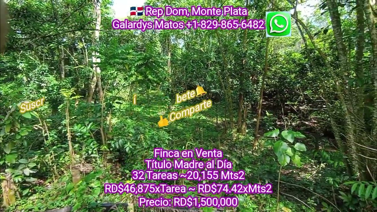 En Pausa...166 🇩🇴 Terreno para Finca en Venta 32 Tarea RD$1,500,000 en Monte Plata ~80x250