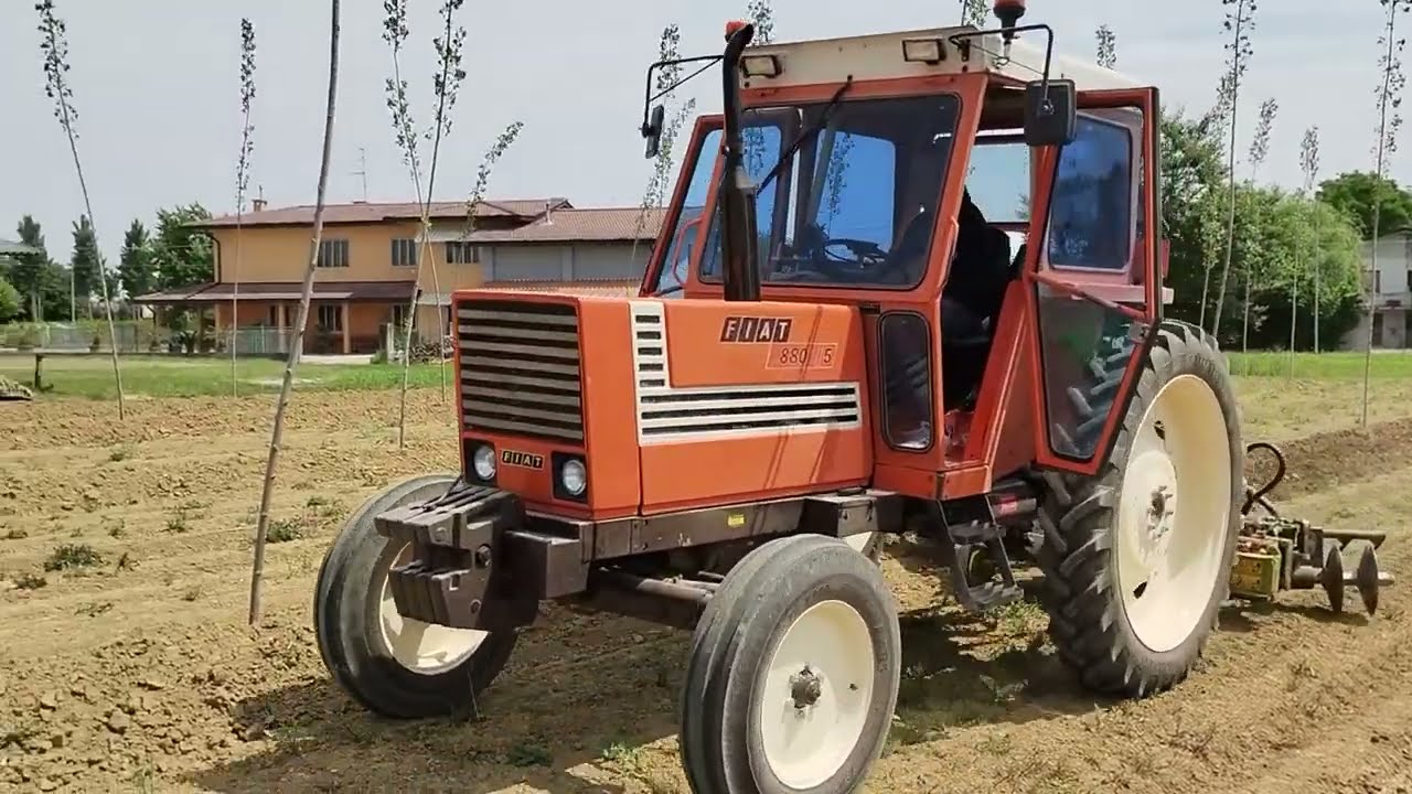 Fiat 880-5 pure sound - Lavorazione interfila pioppeto (terreno BIO)