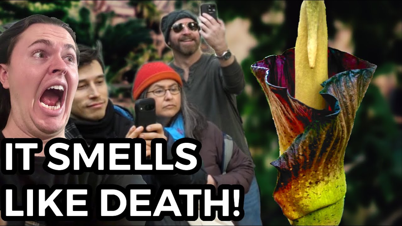 I Waited In Line for 2+ Hours to See the Rare Corpse Flower