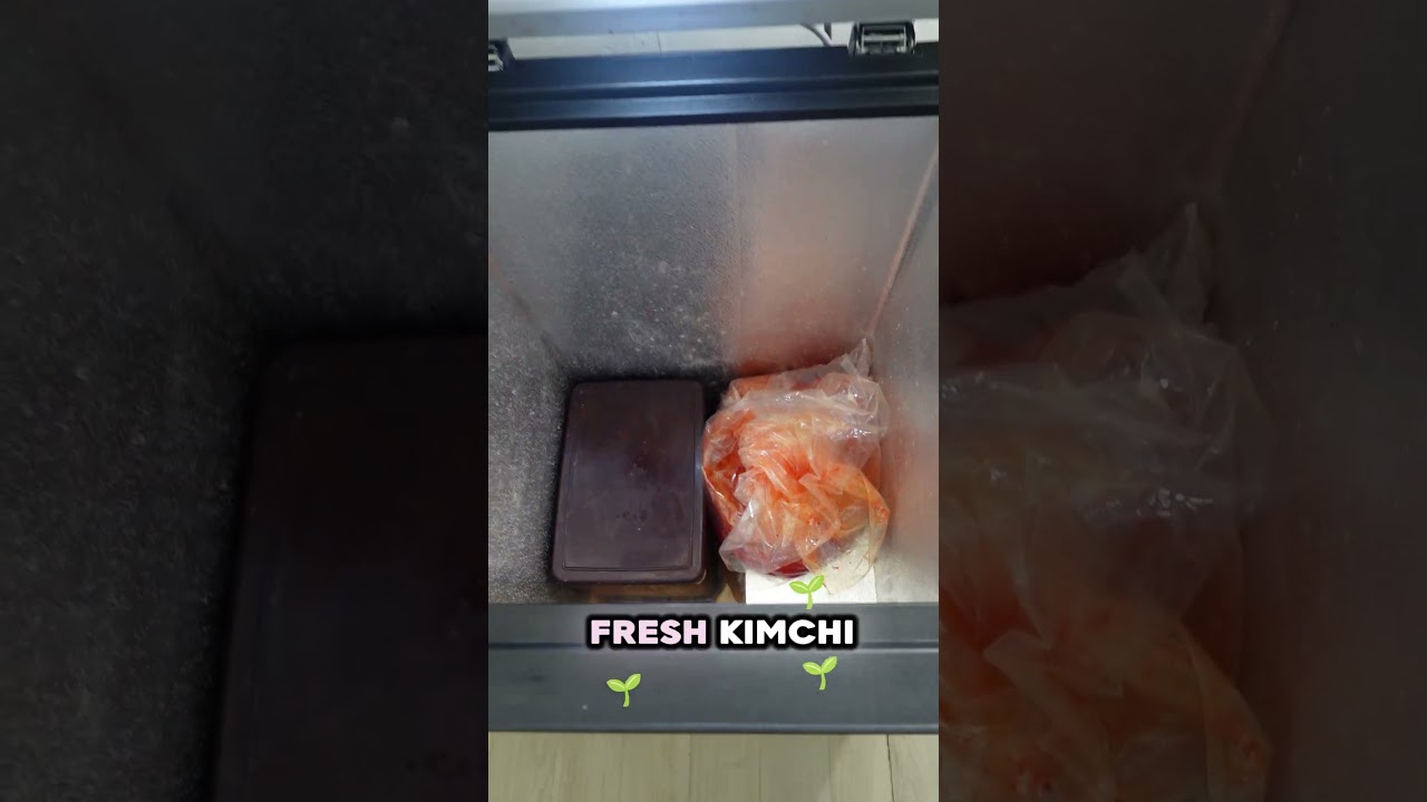 [광고포함] HUGE KIMCHI FRIDGE, this hotel gives it for free! Achimhae goshitel | Monthliv Korea  #travel