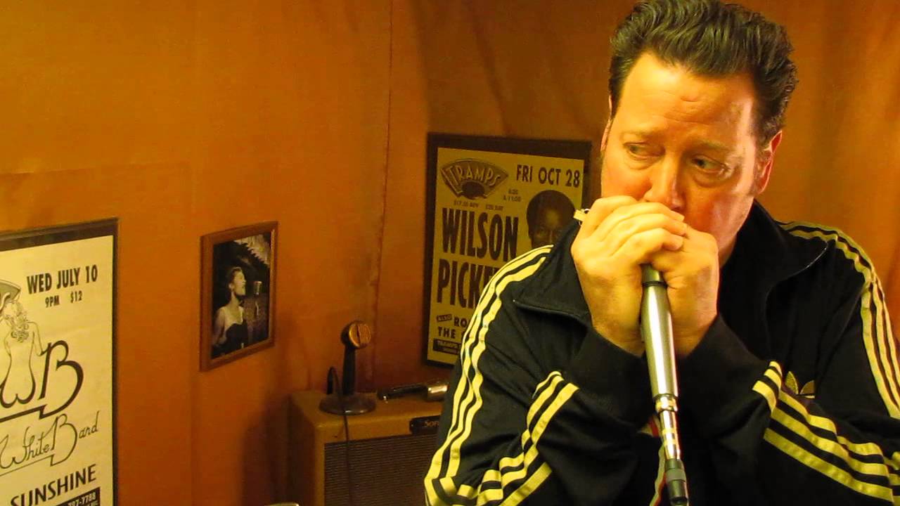 Shure PE53 Spher-O-Dyne Omni Dynamic Harp Vocal Mic